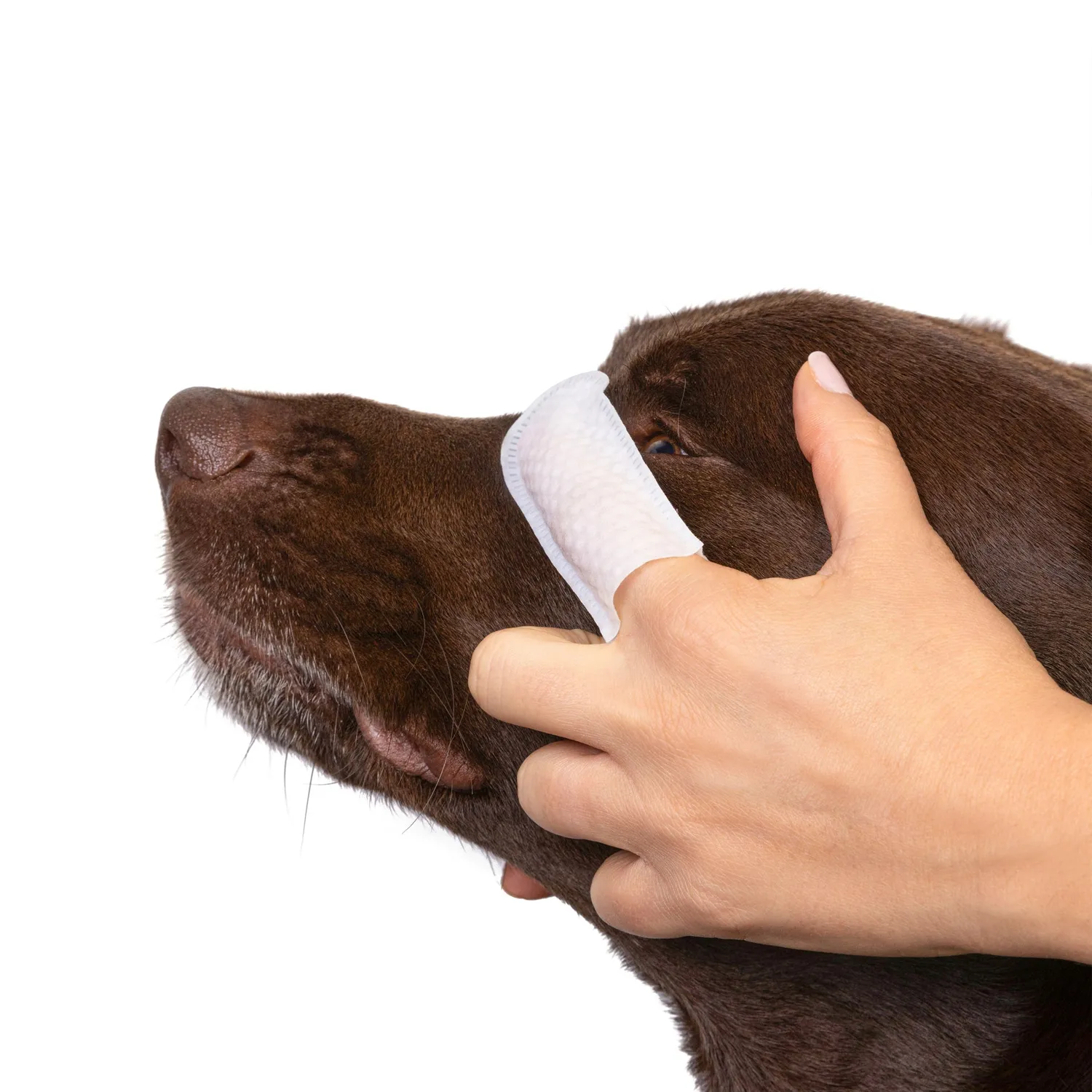 Goo-eez Premium Eye øjenservietter til hund 60 stk mild