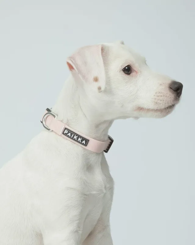 Paikka Glow Collar hundehalsbånd rosa med lys