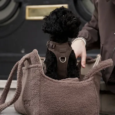 Staey Clara hundetaske Limited Edition til 8 kg