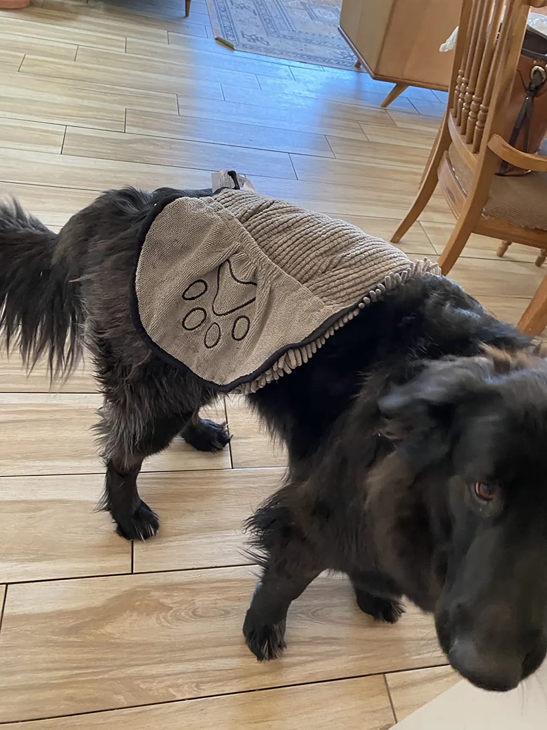 Dog Gone Smart Dirty Dog shammy håndklæde ekstra sugende