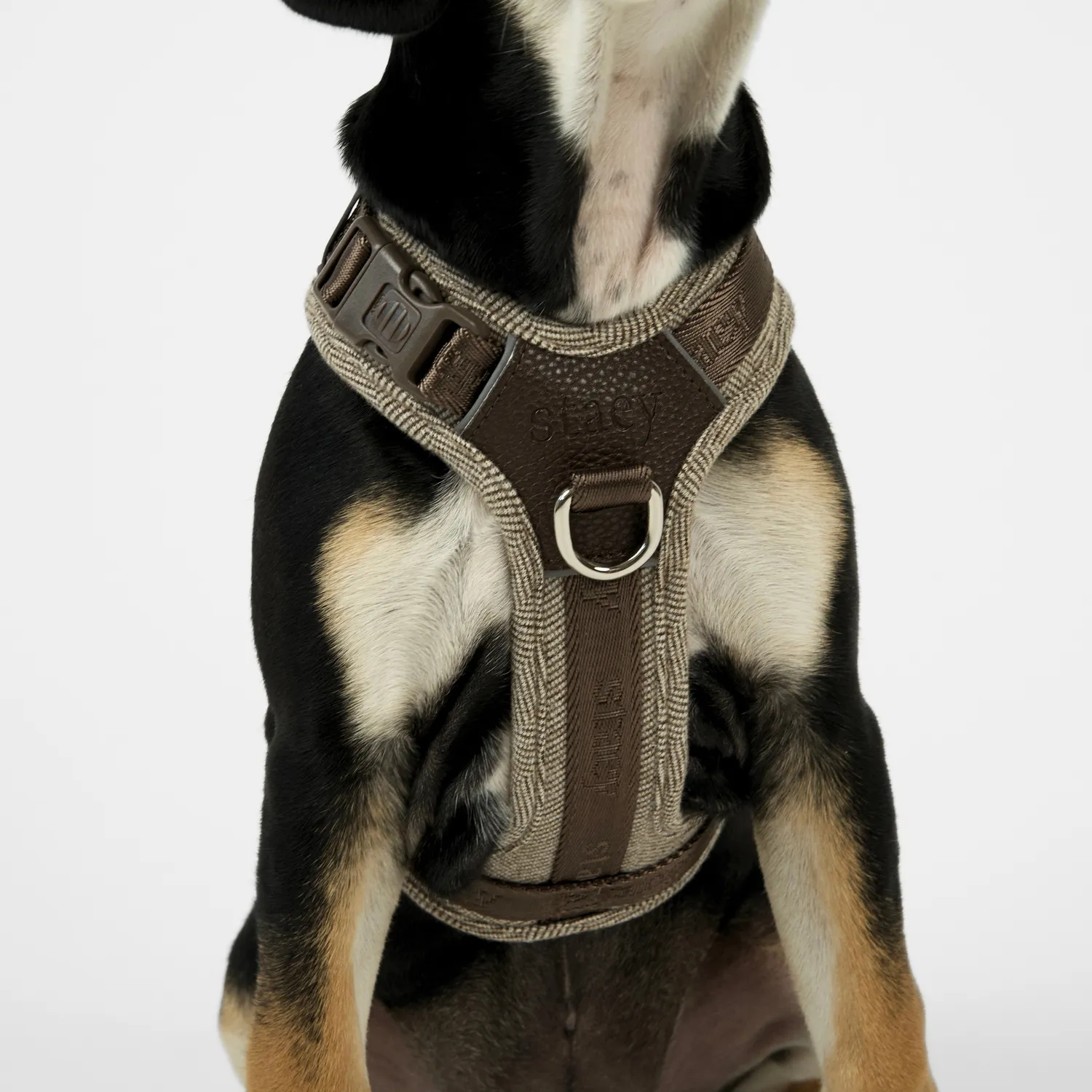 Staey Numa hundesele Mocca let Y-sele