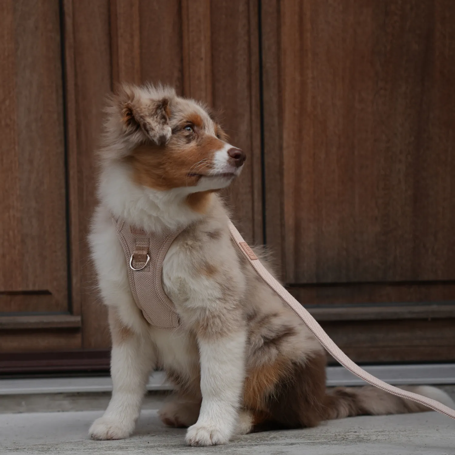 Staey Elma hundesele light rose ergonomisk