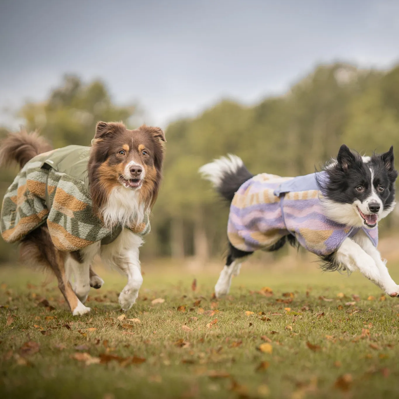 Woolly Wolf Borealis Pile-fleecejakke Sunshower varm