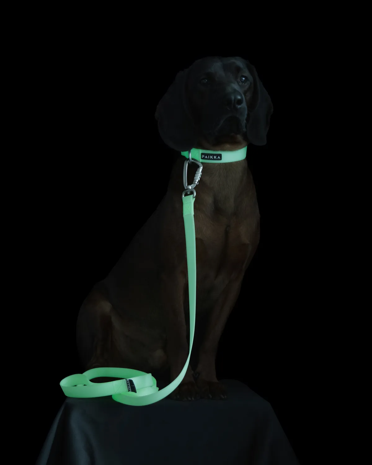 Paikka Glow Collar hundehalsbånd rosa med lys