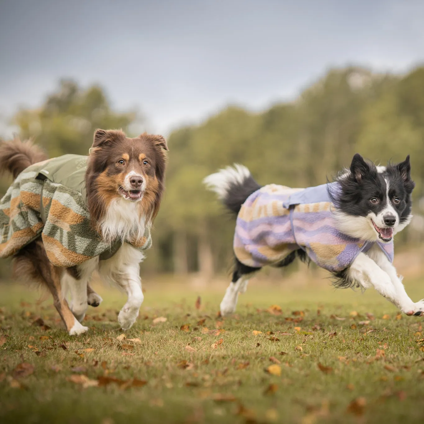 Woolly Wolf Borealis Pile-fleecejakke Cloudbeam varm