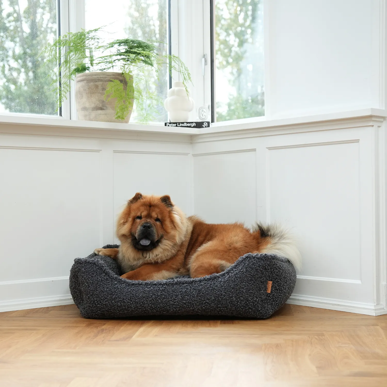 Staey Tora hundeseng Storm Curly vaskbar 5 str.