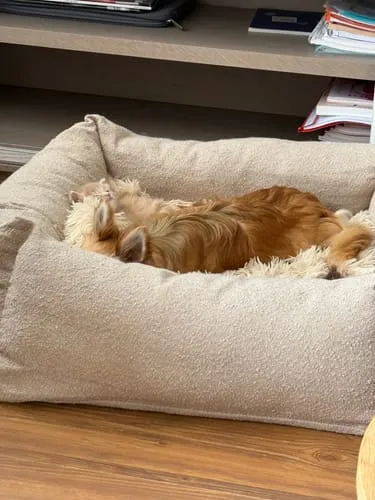 Staey Vera hundeseng Oat Bouclé memory foam