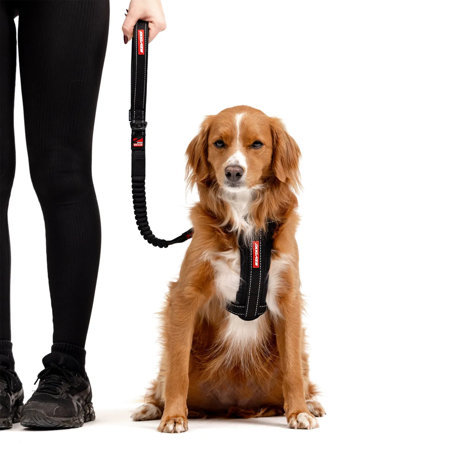 EzyDog Zero Shock hundeline sort 120 cm støddæmpende