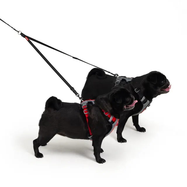 EzyDog Soft Touch Coupler LITE dobbeltline til små hunde med kontrolgreb