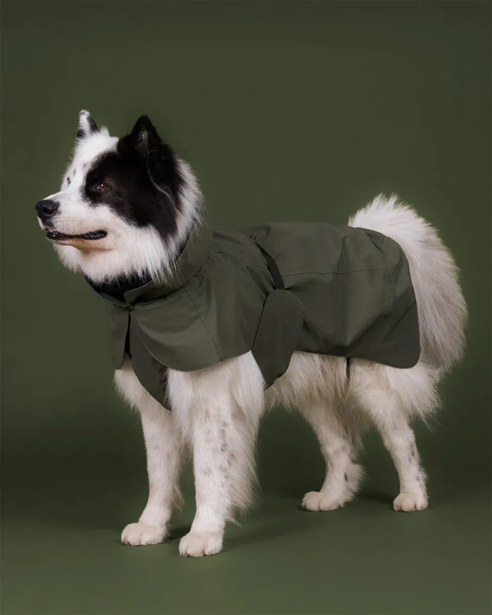 Paikka Visibility regnjakke til hund Thyme reflekterende