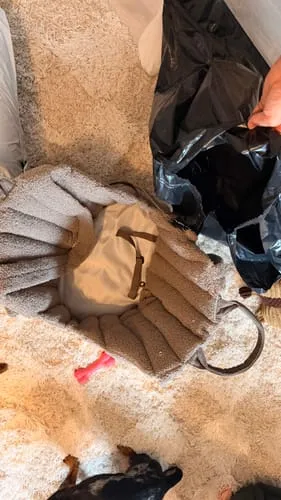 Staey Ella Carrier Bag hundetaske taupe til 9 kg