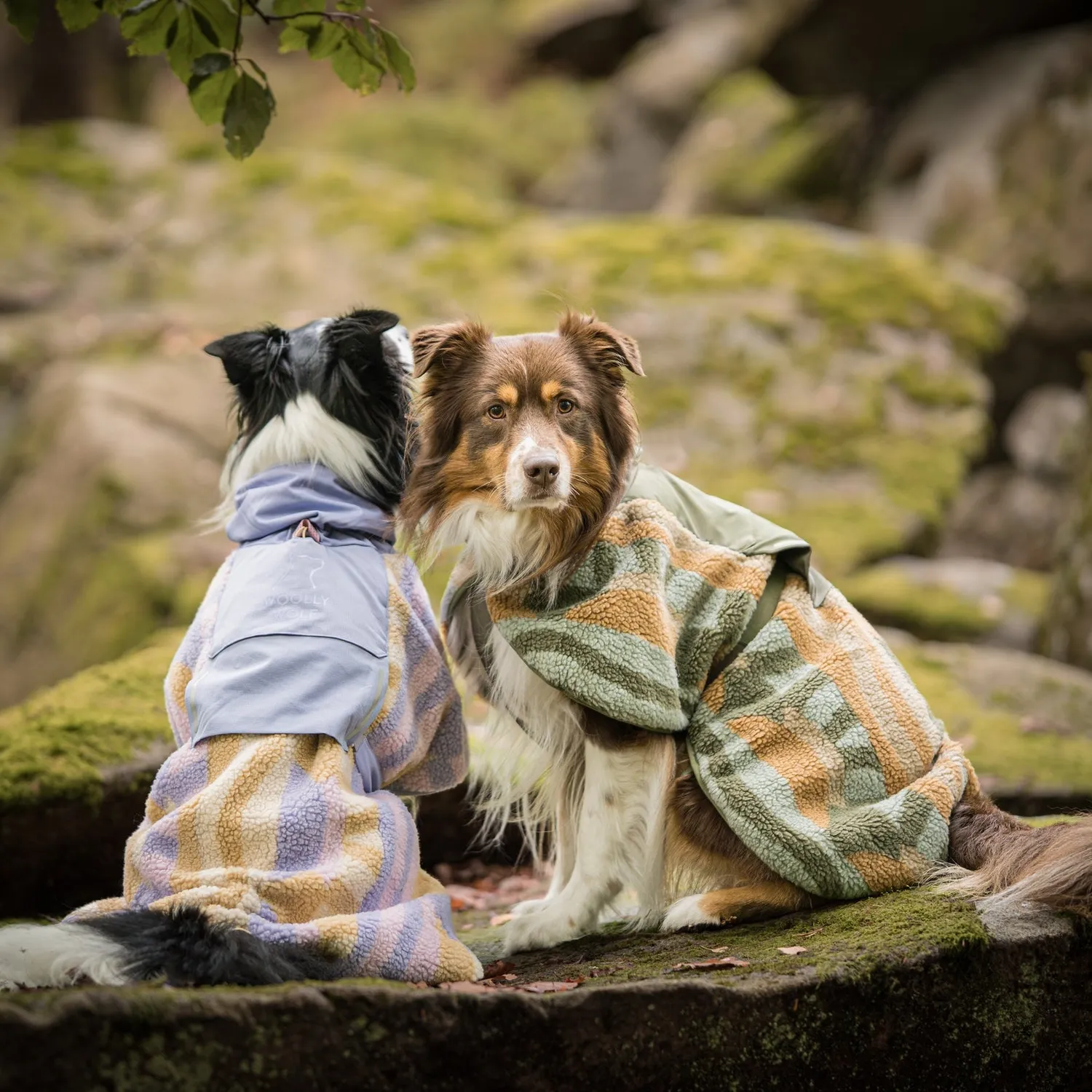Woolly Wolf Borealis Pile-fleecejakke Sunshower varm