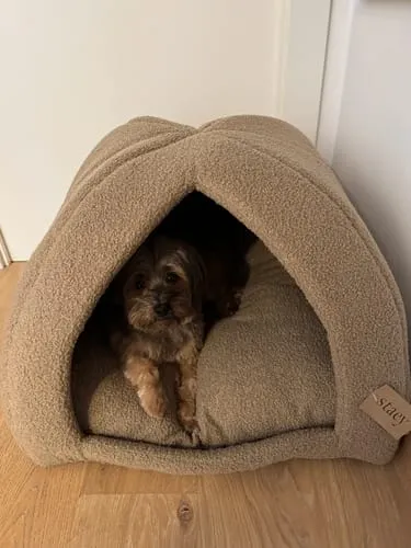 Staey Hundehule Dog Cave Oat Bouclé Hule 62x62 cm