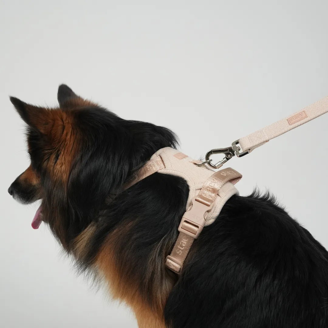 Staey Elma hundesnor Light Rose medium 152 cm