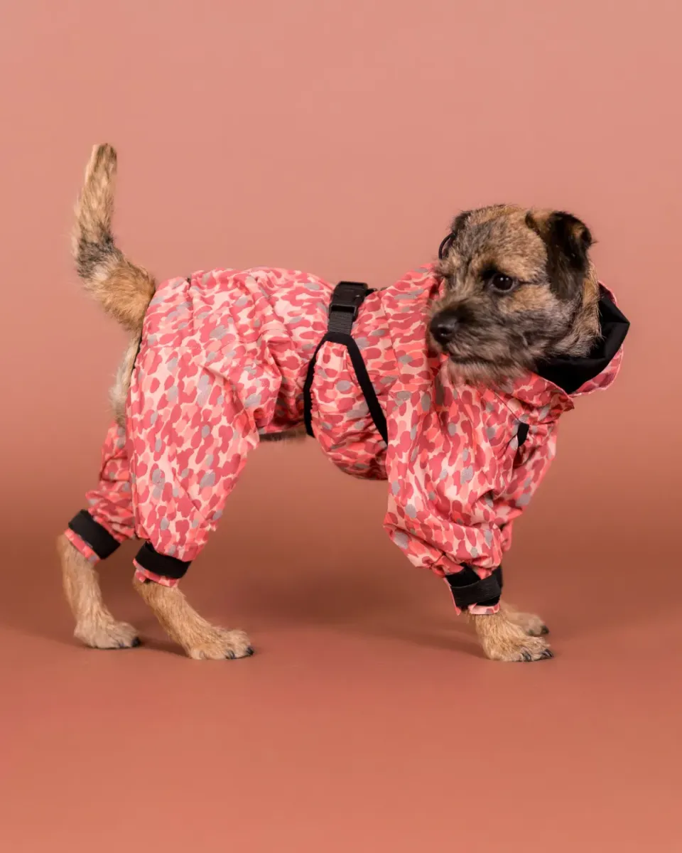 Paikka Rain Suit regndragt til hund Rød