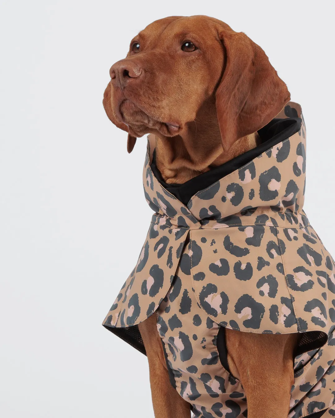 Paikka Visibility Raincoat Leo regnjakke leopard