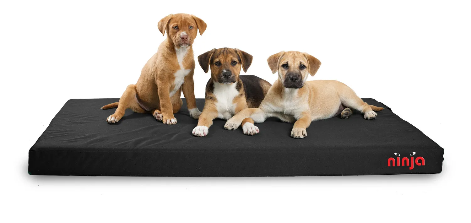 Dog Gone Smart Ninja Chew Proof hundeseng 1680D med memory foam