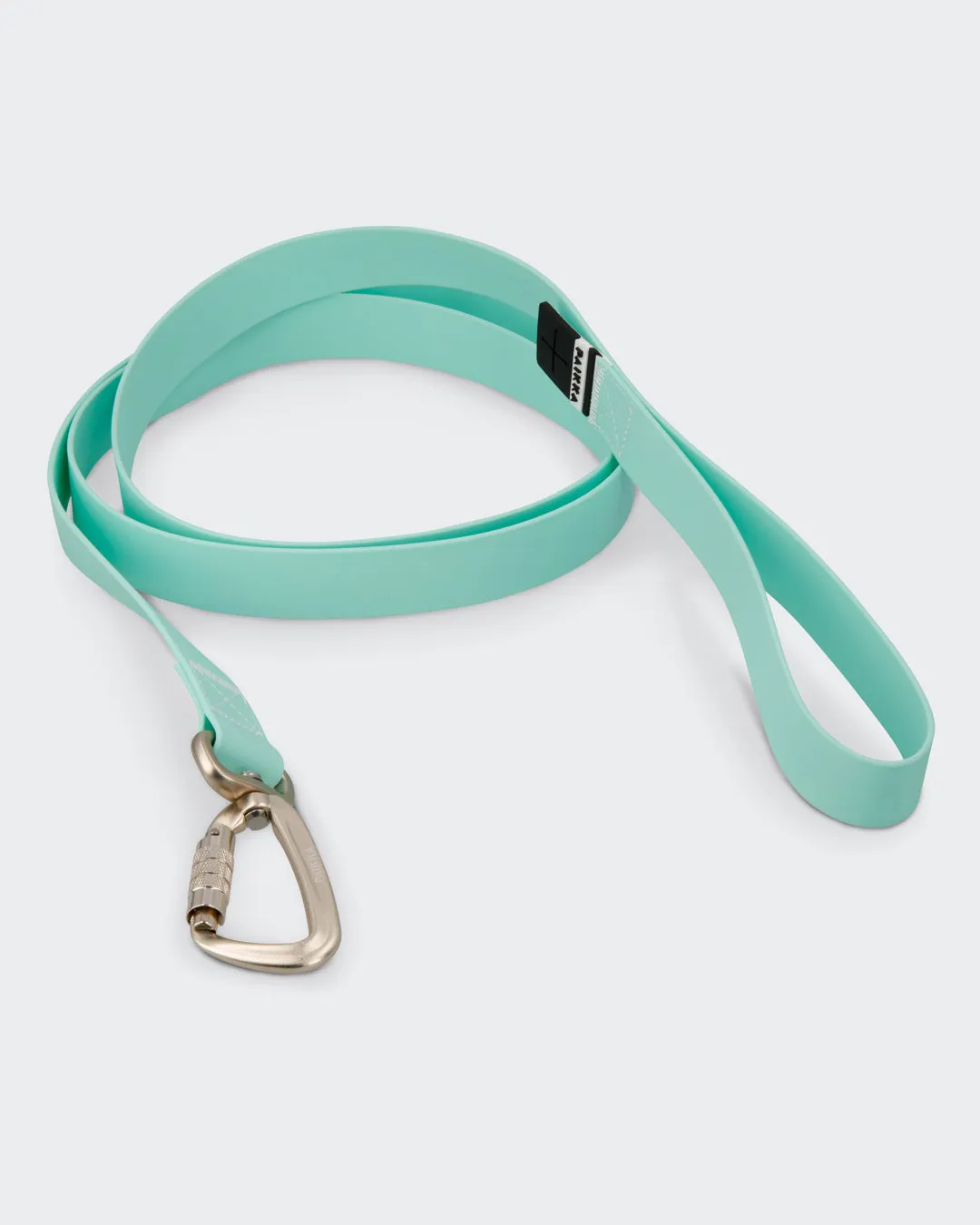 Paikka Glow Leash Cabbage hundesnor 180 cm