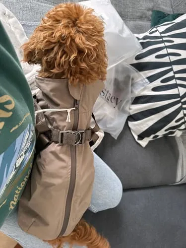Staey Norma regnfrakke med sele taupe vandtæt