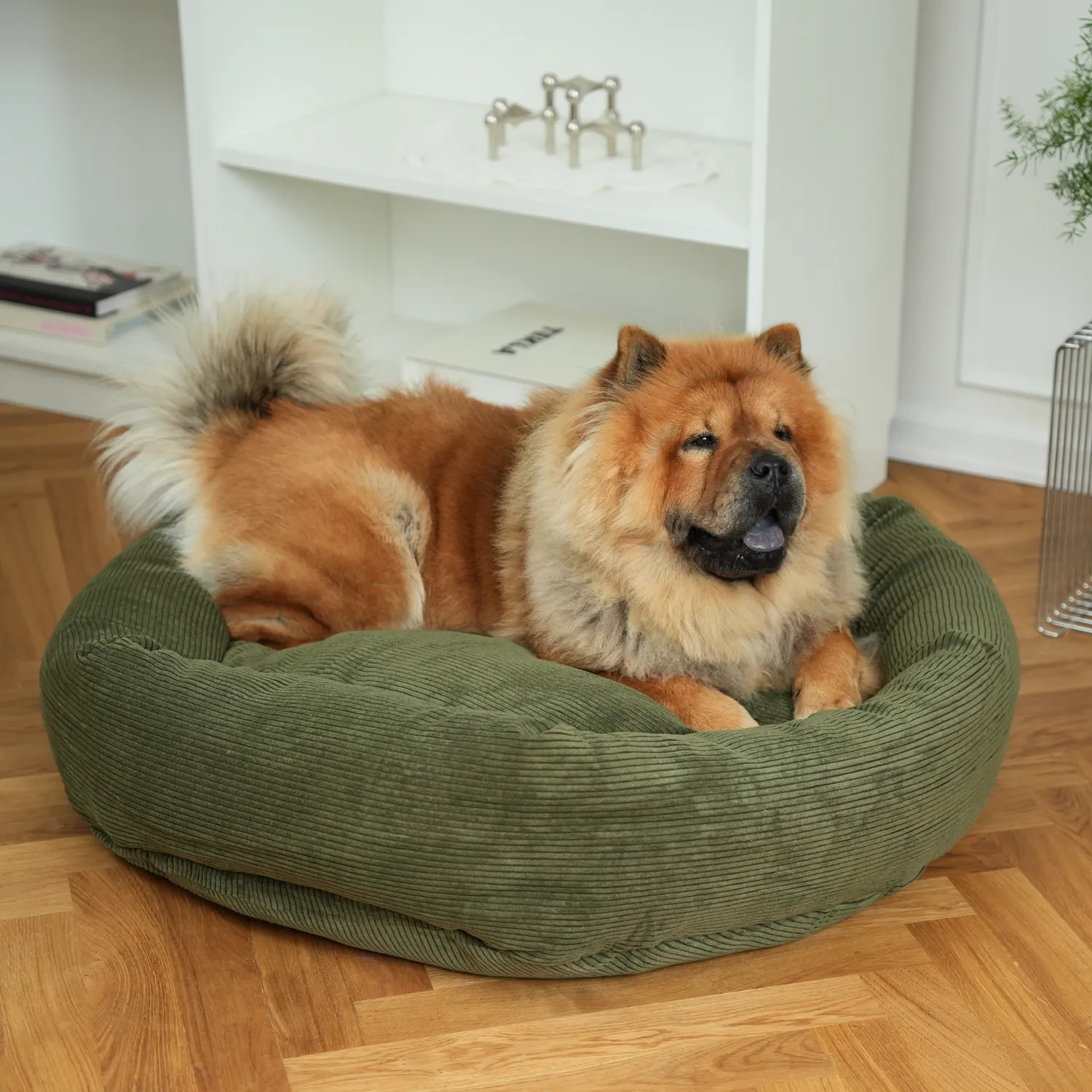 Staey Luna 3.0 hundeseng Moss Green Corduroy
