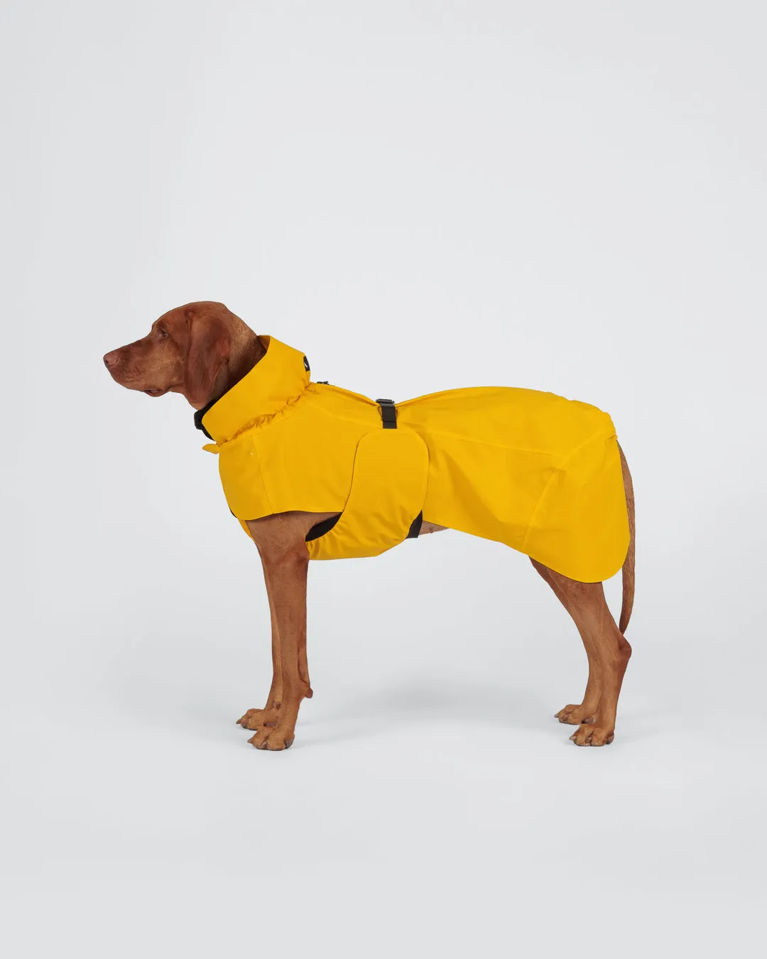 Paikka Visibility Raincoat hunderegnjakke gul reflekterende