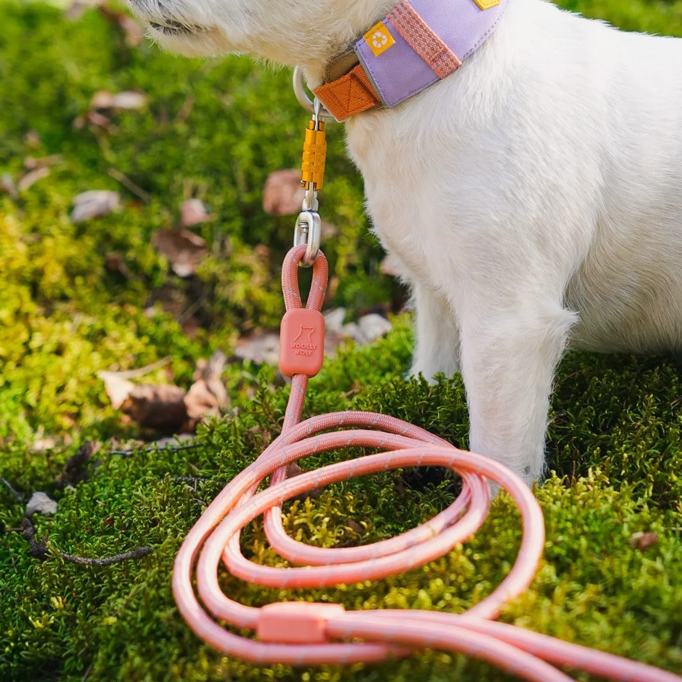 Woolly Wolf Rope Leash hundesnor lakserosa 180 cm refleks