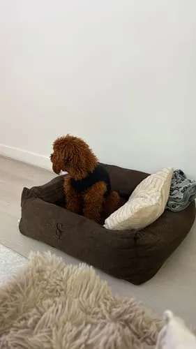 Staey Vera hundeseng Chestnut Bouclé memory foam