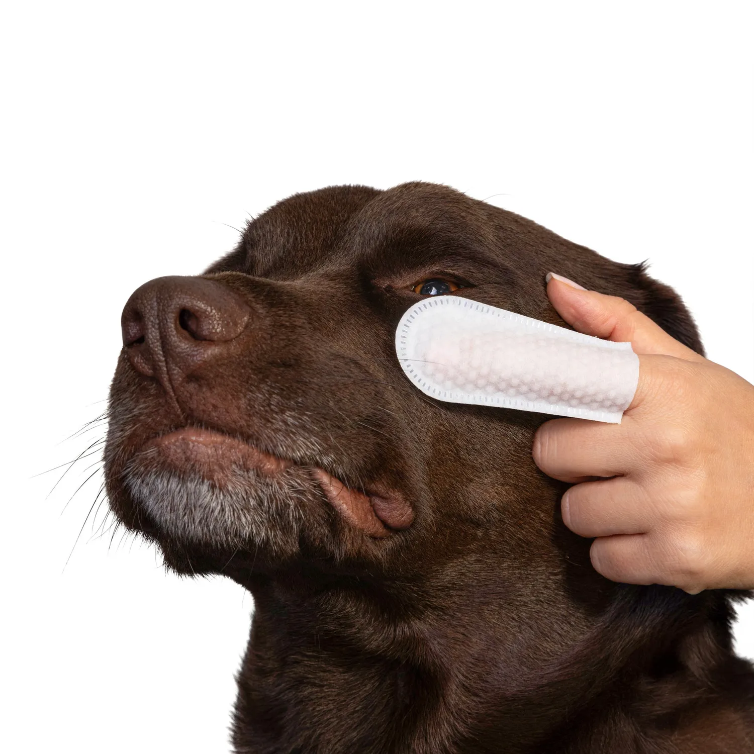 Goo-eez Premium Eye øjenservietter til hund 60 stk mild