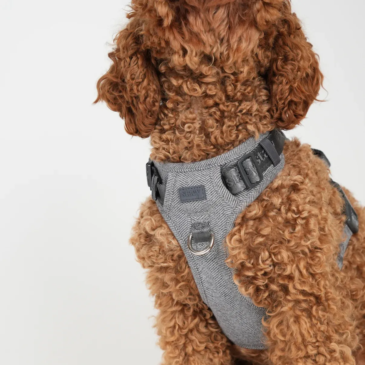 Staey Elma hundesele Dusty Blue polstret Y-sele