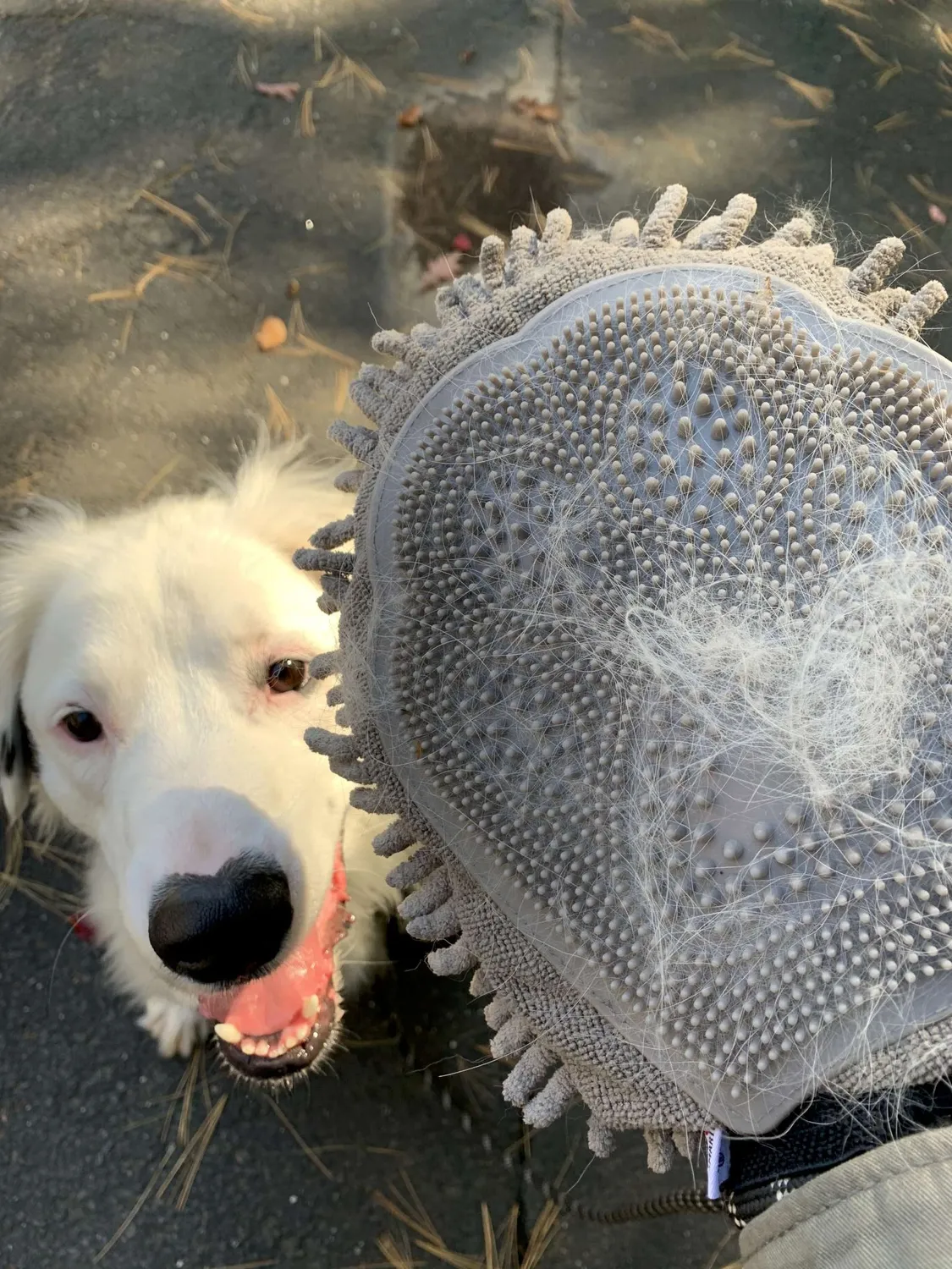 Dog Gone Smart Dirty Dog Cleaning Crew hundetørresæt grå absorberende
