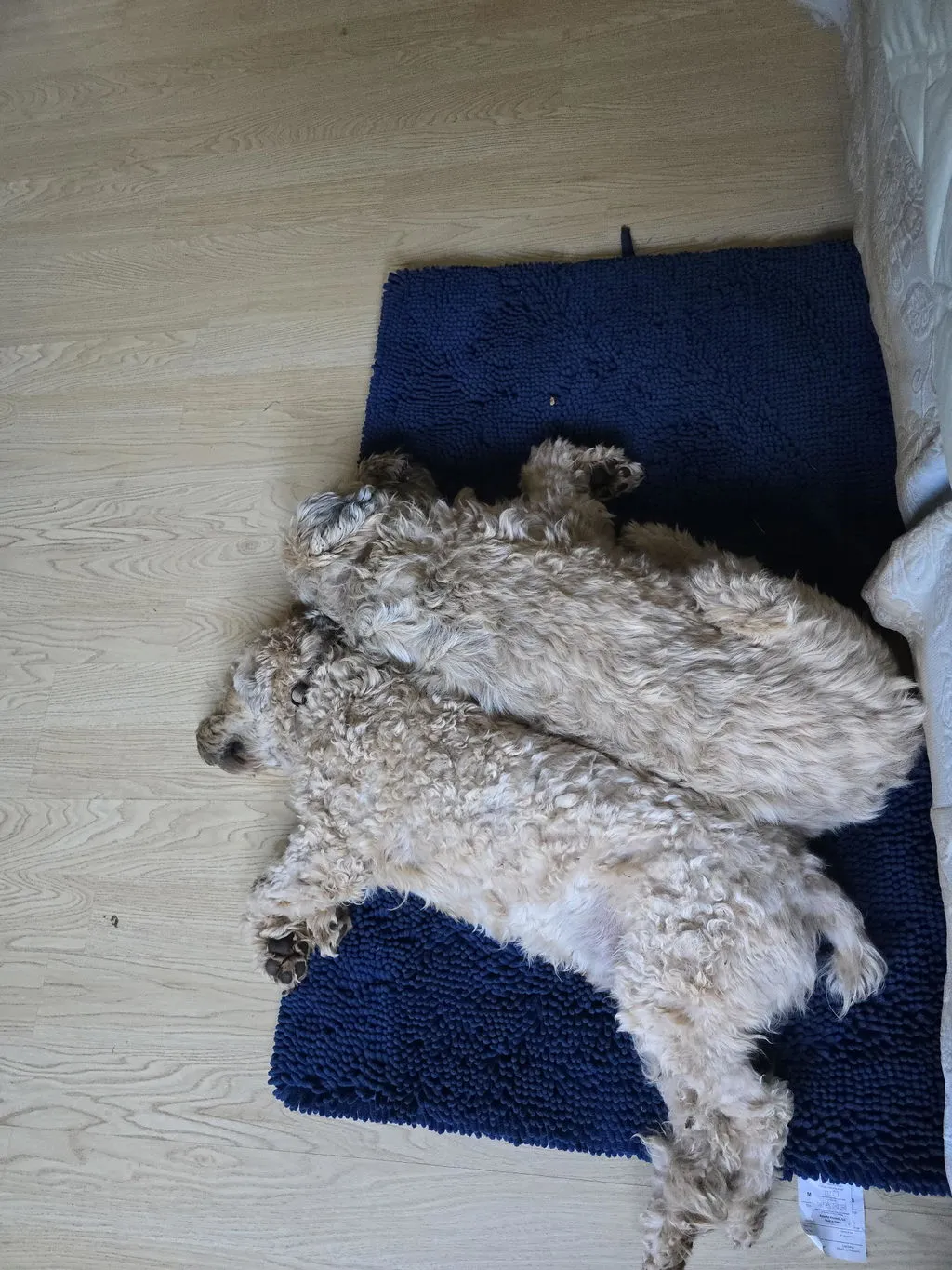 Dog Gone Smart Dirty Dog Cushion hundemåtte grå Large