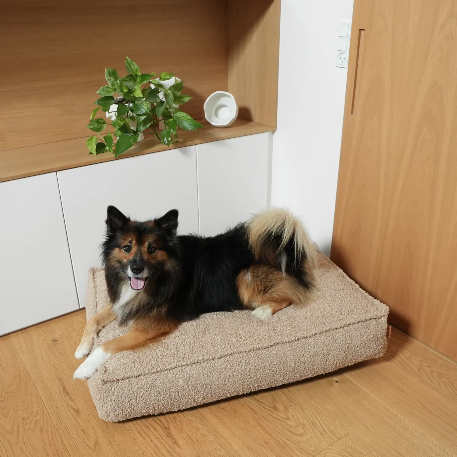 Staey Noor hundepude Sand Curly – fast skum