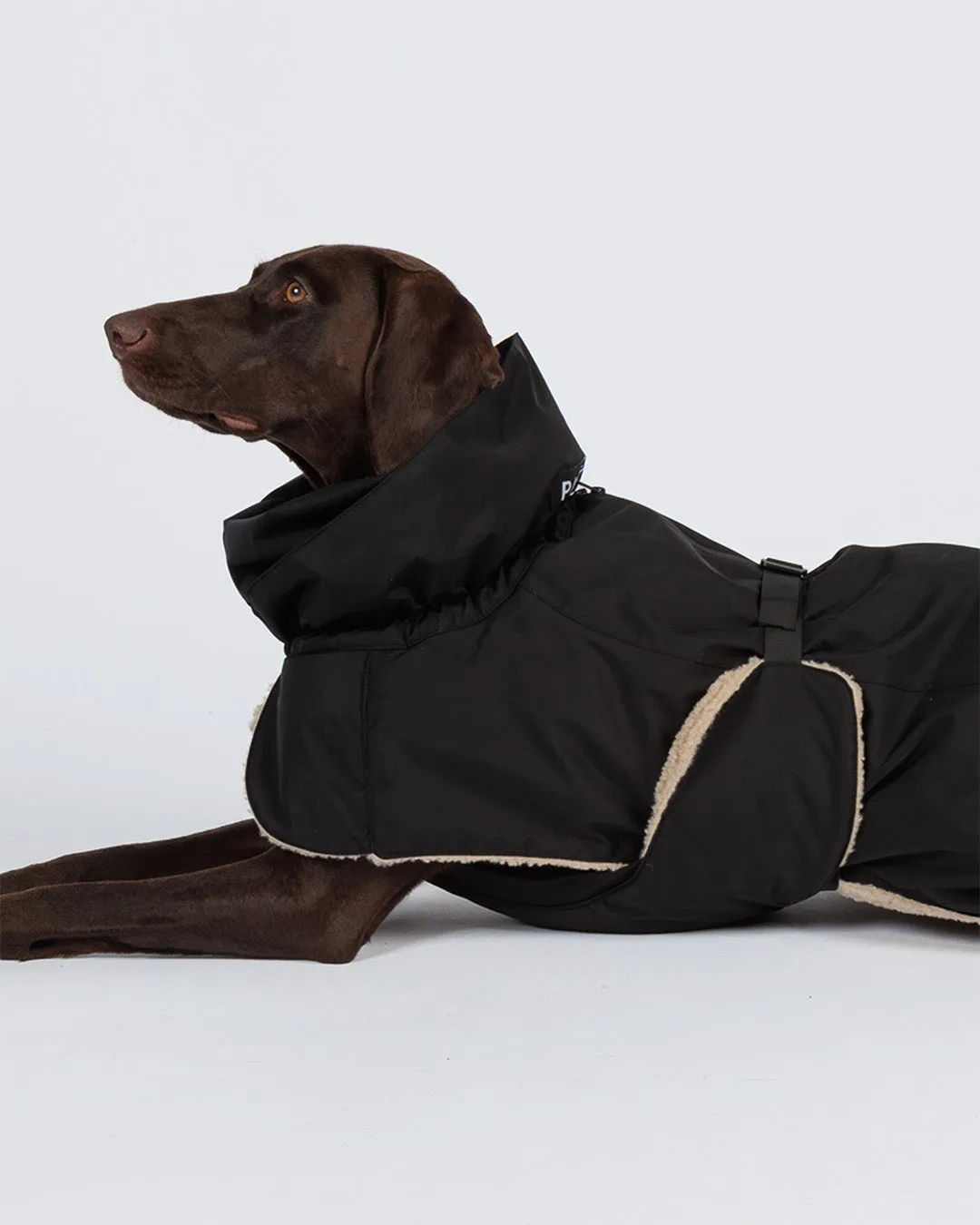 Paikka Kuura vinterjakke sort varm til hunden
