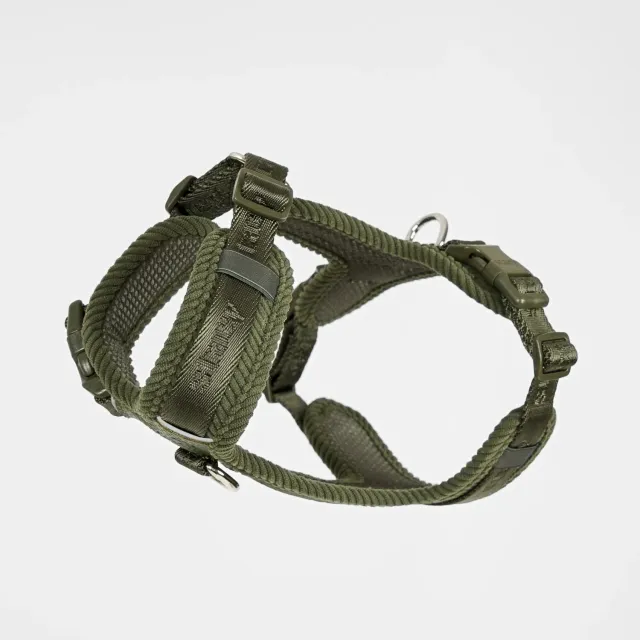 Staey Numa hundesele til hund Moss Green