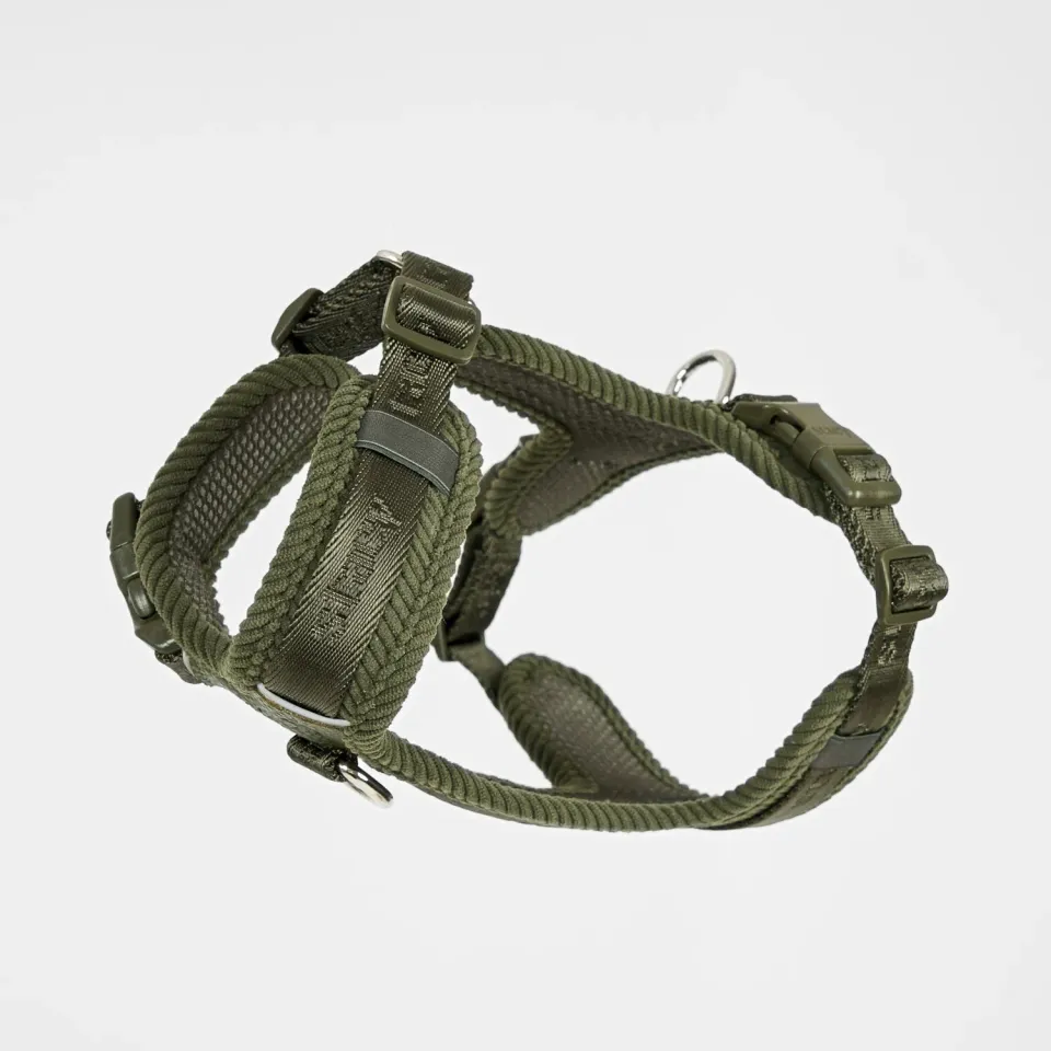Staey Numa hundesele til hund Moss Green