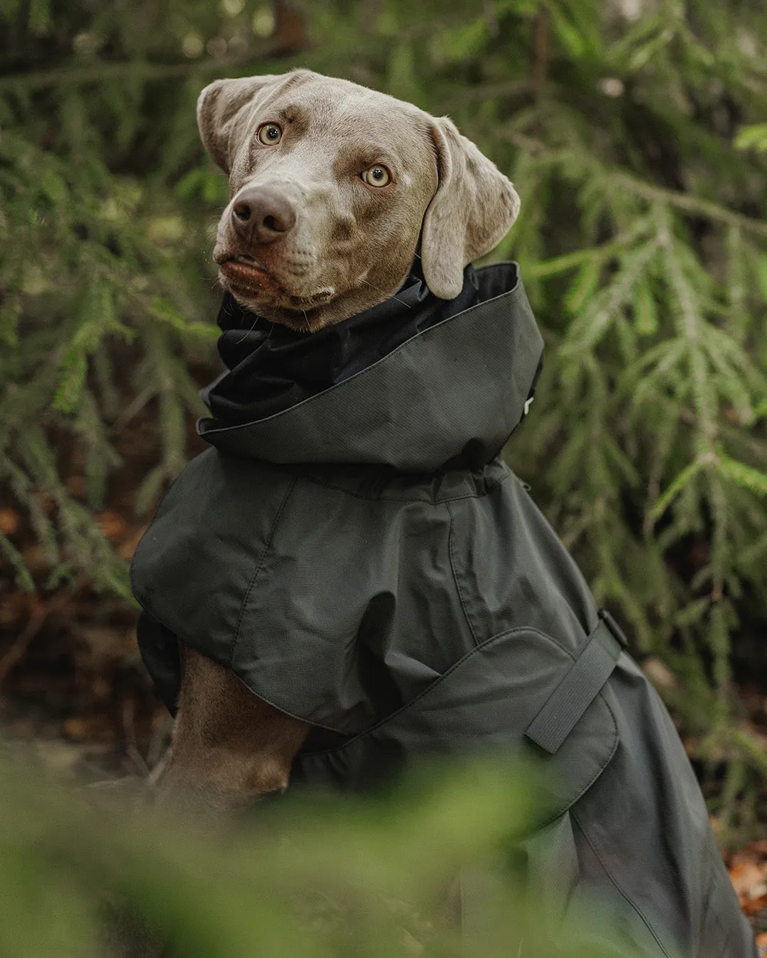Paikka Visibility Raincoat regnjakke Seawool Dark reflekterende