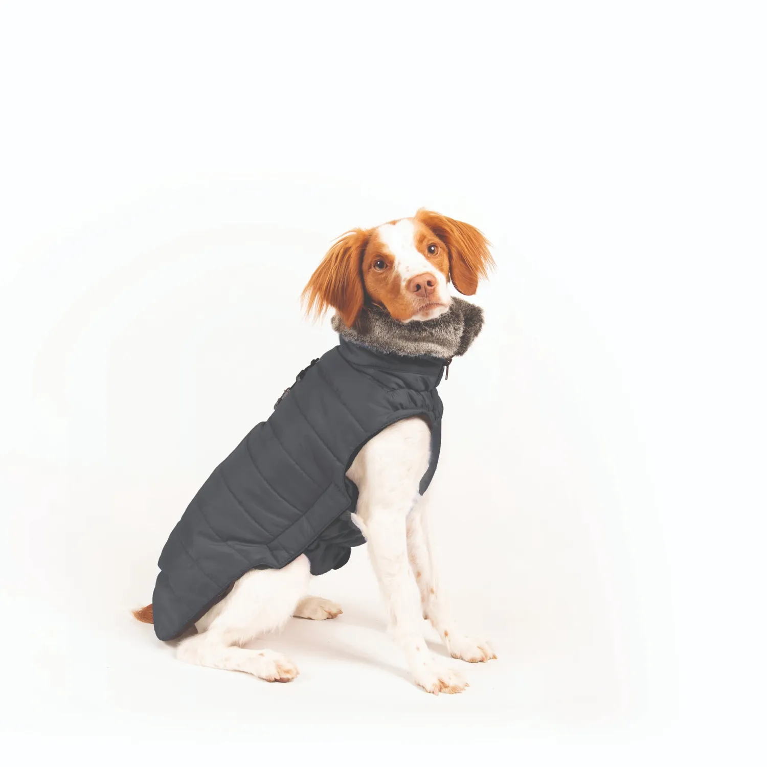 Dog Gone Smart Hemlock Puffy hundejakke 16" indigo varm