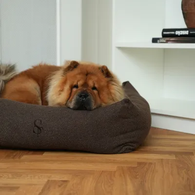 Staey Vera hundeseng Chestnut Bouclé memory foam
