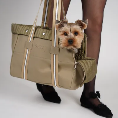 Staey Lily Carrier Bag hundetaske taupe til 7 kg