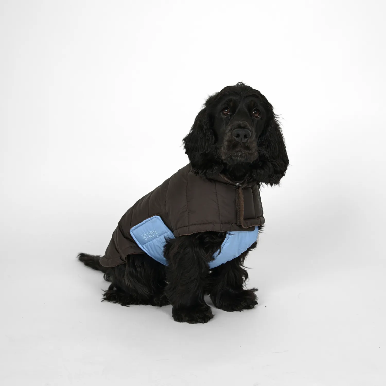 Staey Nora hundefrakke Espresso/Sky Blue varm vinter