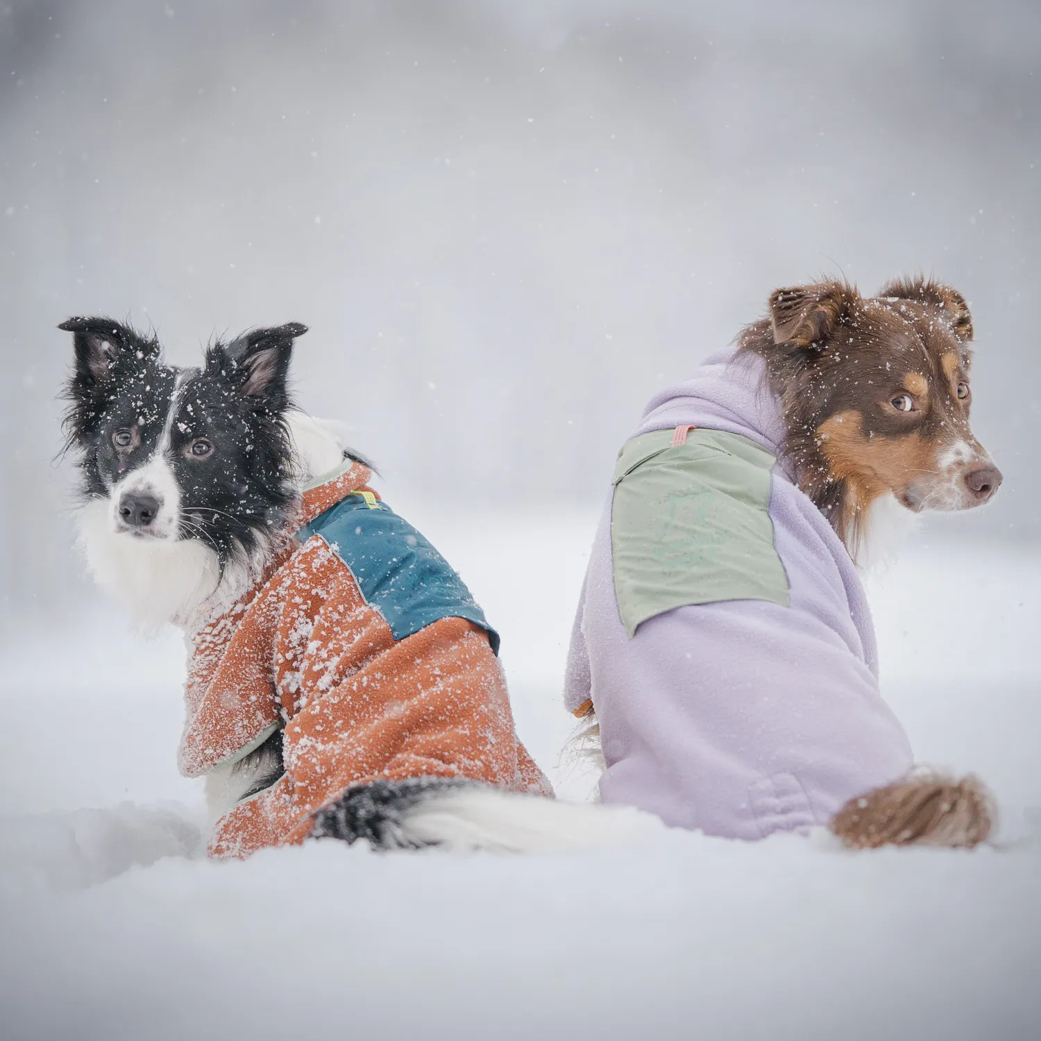 Woolly Wolf Alpha 360 hundetrøje terracotta mix
