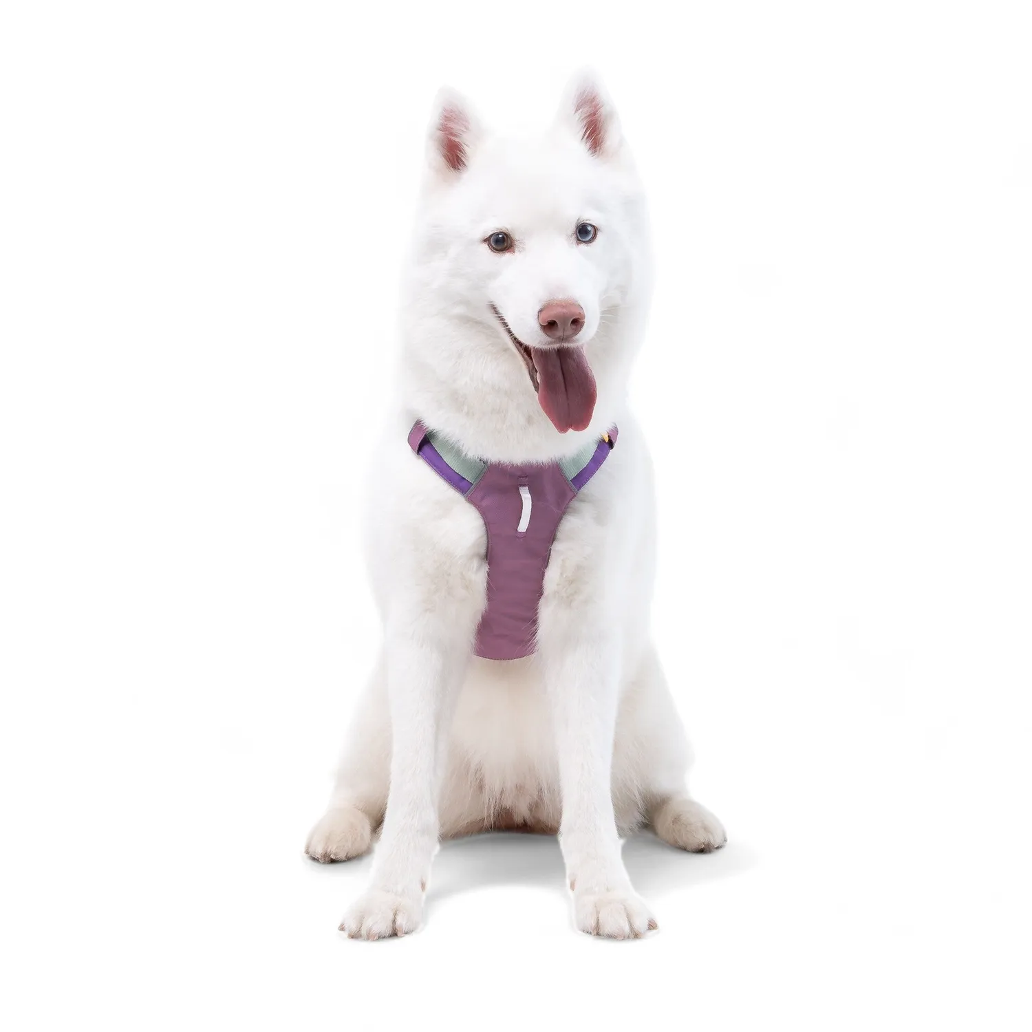 Woolly Wolf Alpha 360 sele Mauve Mix refleks