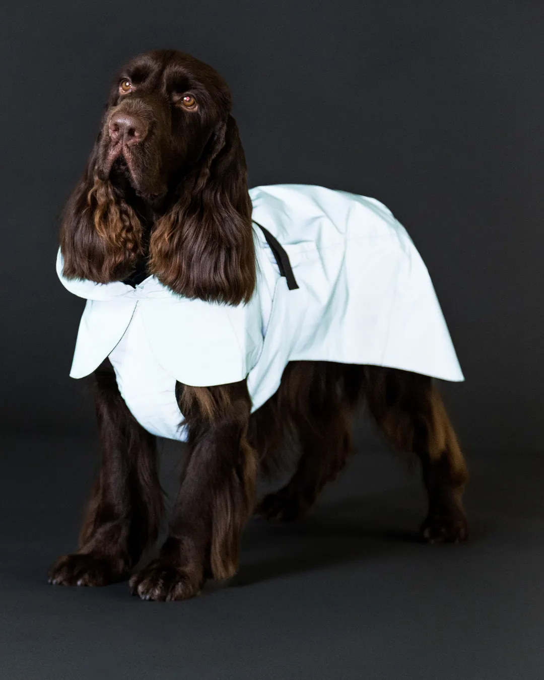 Paikka Visibility Raincoat Lite regndækken grøn let