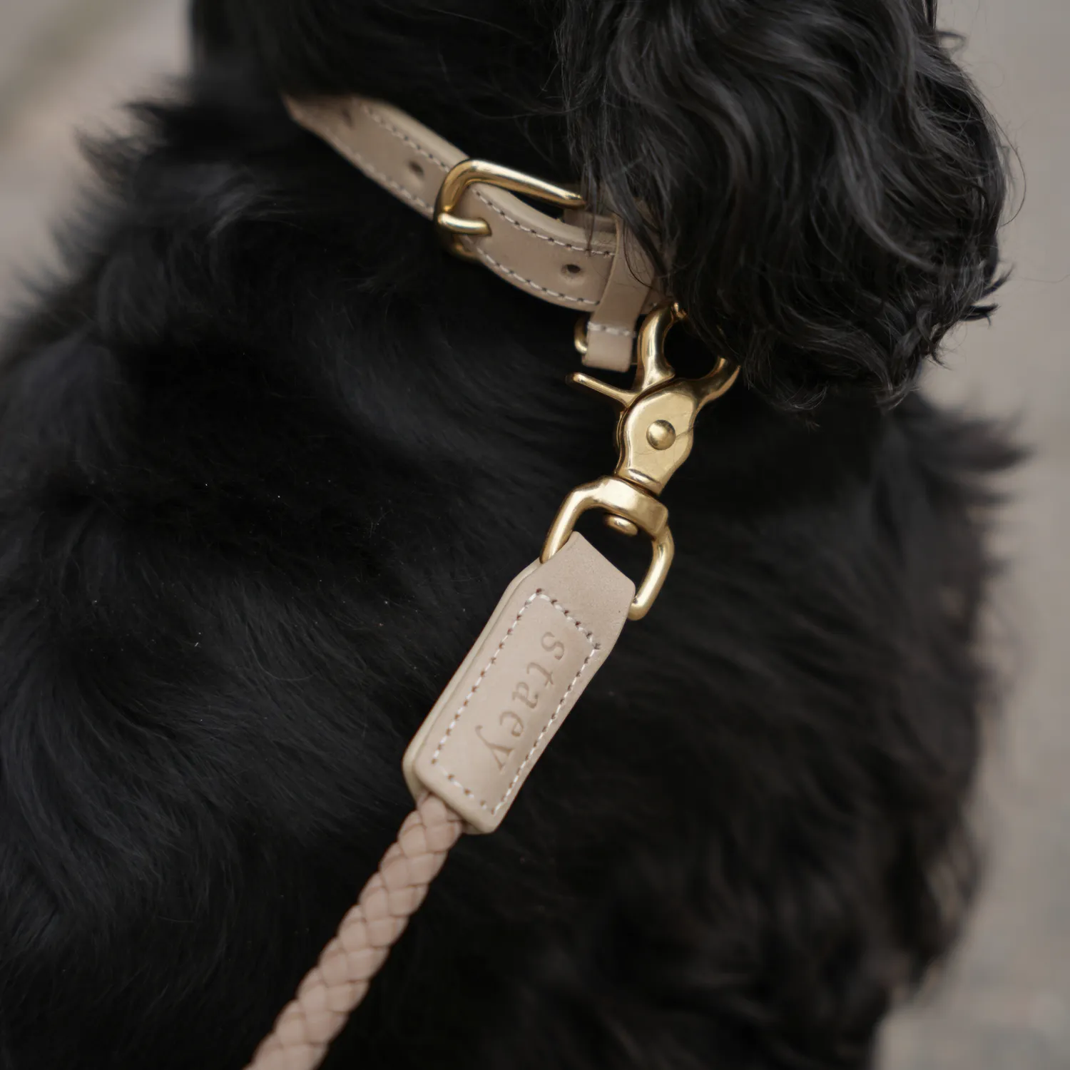Staey Kaia halsbånd til hund Taupe læder