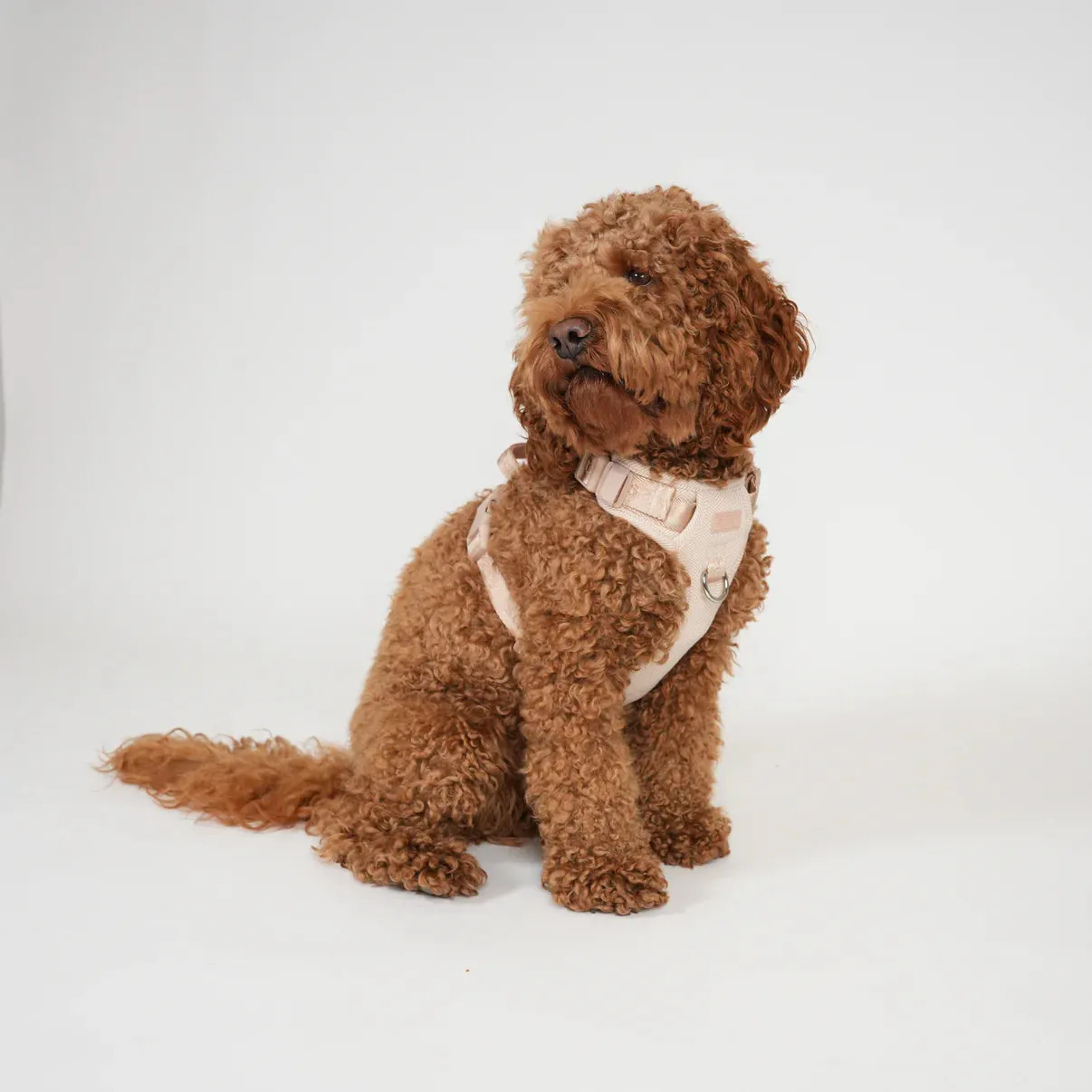 Staey Elma hundesele light rose ergonomisk