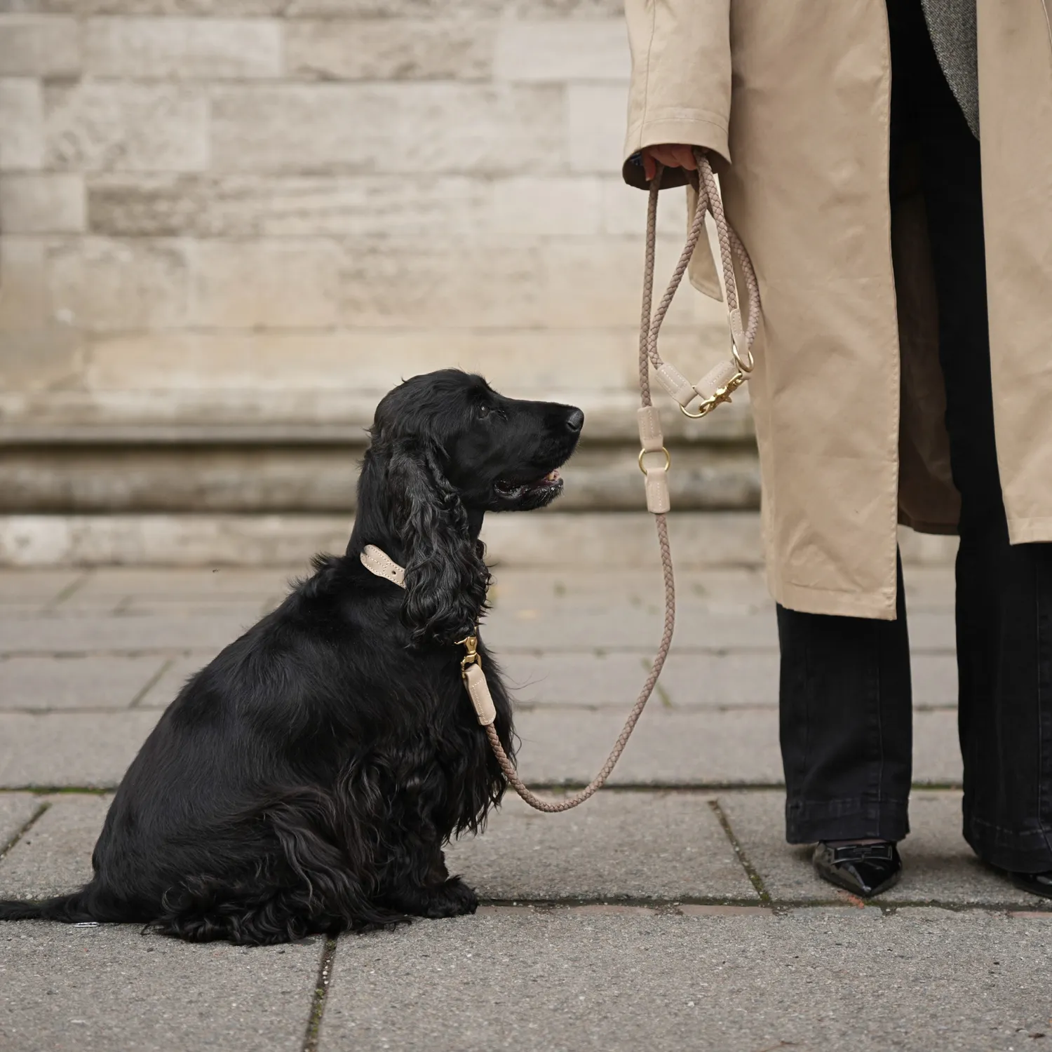 Staey Kaia halsbånd til hund Taupe læder