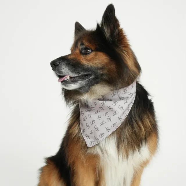 Staey ST bandana hundetørklæde dobbeltsidet