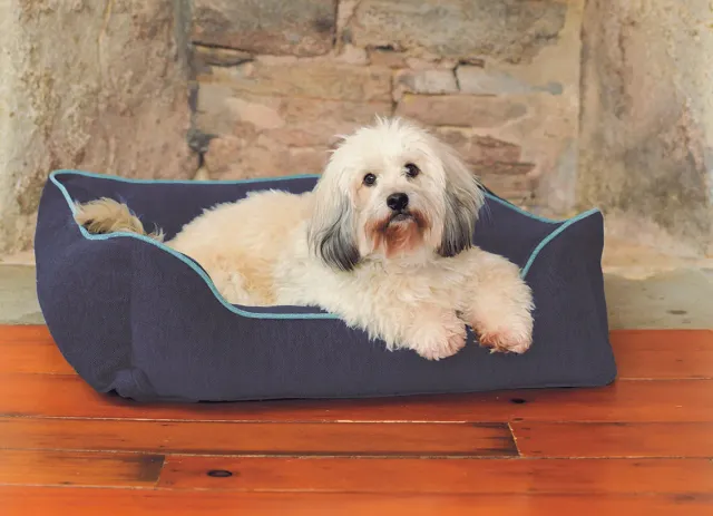 Dog Gone Smart Chenille Lounger hundeseng med høj kant og Repelz-It