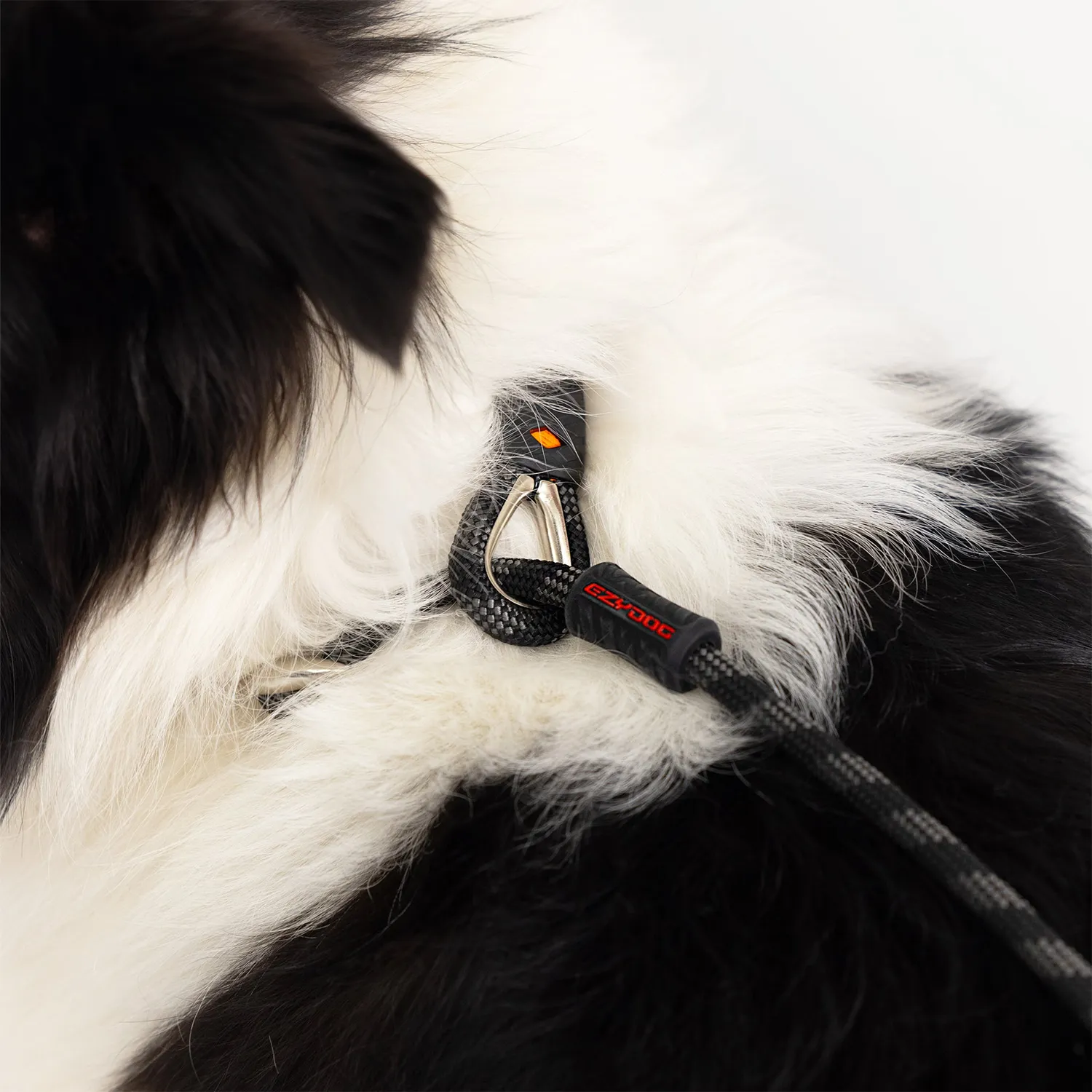 EzyDog Luca hundesnor sort 170 cm træningsreb