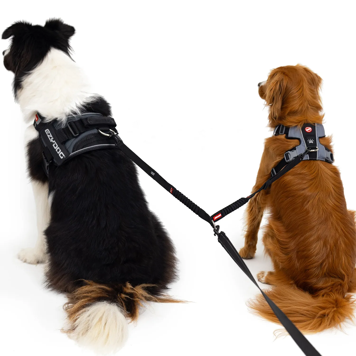 EzyDog Zero Shock Coupler kobbel sort 61cm stødabsorberende